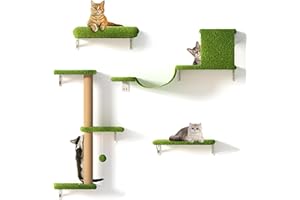 FUKUMARU Cat Wall Furniture Set - 4 in 1 Large Stable & Safe Wooden Climbing Wall With Scratching Post, Bridge, Bed - Stylish Jungle Gym for 16 Inch Drywall - Green