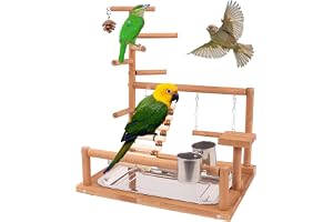BORDEAG Parrot Playstand Fåglar Lekplats För Papegojor, Undulater, Nymfparakiter, Finkar Och Solsitter I Trä