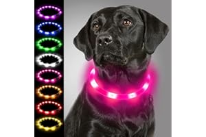 Joytale Collar Luminoso Perro, Collar para Mascotas LED Ajustables con Luz, Collares Recargable USB para Perros Pequeños, Medianos y Grandes, Rosa