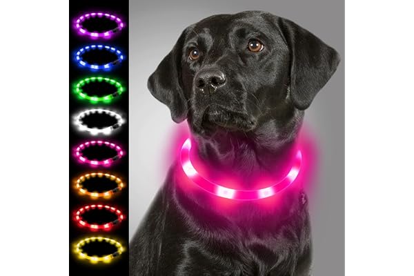 Joytale Collier Lumineux Chien, LED Collier de Chien Rechargeable USB, Clignotant avec 3 Modes de Sécurité Réglables pour Petits, Moyens et Grands, Rose