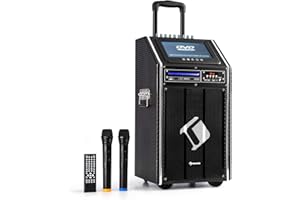 auna DisGo Box 100 DVD Mobile PA Soundanlage - Bluetooth Lautsprecher mit 300 Watt Leistung, PA Anlage mit 9" TFT-Display, DVD, verlängerter Trolley-Griff, 2 x UHF-Funkmikrofon, schwarz