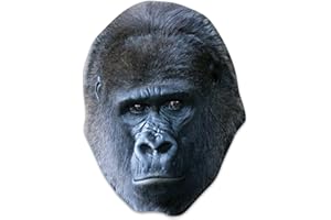 STAR CUTOUTS Ltd Bear Single Face Mask