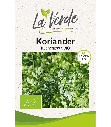 100 Samen von aromatischen Zitronenthymian SF122 (Breitblttriger Thymian)  : Amazon.de: Garten
