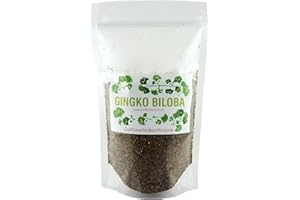 PLANTA VERA Miłorząb japoński Ginkgo Biloba CIĘTY Herbatka ziołowa 500G