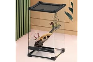xixibuy Terrario Reptiles, Terrario Plantas, Terrario Insectos, Terrario Tortugas de Tierra, Caja de alimentación para Reptiles, Transparente(vidrio-20 * 20 * 30cm)