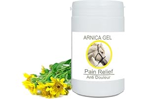 BLEU & MARINE BRETANIA Arnika FORTE Gel-Konzentrat 100% aus Bio-Anbau | Massage-Gel für Muskeln und Gelenke | Feuchtigkeitscreme für die Haut | Schnelle Absorption, 1000g