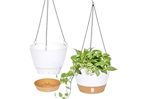 QCQHDU 2-Pack Hängende Pflanzgefäße Set,25.4 cm Indoor Outdoor Hängende Pflanzgefäße Korb,Hängende Blumentopf mit Drainage Loch mit 3 Haken für Garten Zuhause (Weiß)