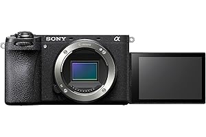 Sony Alpha 6700 | APS-C Spiegellose Systemkamera (KI-basierter Autofokus, 5-Achsen-Bildstabilisierung)