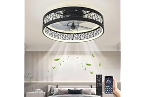 ‎MIIR Ceiling Fan with Lighting LED 60 W Ceiling Light with Fan Modern Quiet Ceiling Light with Remote Control Dimmable 6 Speeds Lamp with Fan for Living Room Bedroom Black