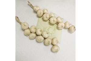 Riaxuebiy Artificial Vegetables Garlic Strings 21 Inch Faux Vegetables Hanging Garland Photography Props Lifelike White Garlic for Home Office Decor (Garlic*2 strings)