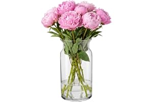 TREND FOR HOME Large Glass Vase High 29.5cm Flower Vase Large Floor Vase Glass Large Vase Amaryllis Vase Tulips Round Glass V