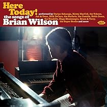 Do It Again !-the Songs Of…: Brian Wilson, Brian Wilson: Amazon.fr