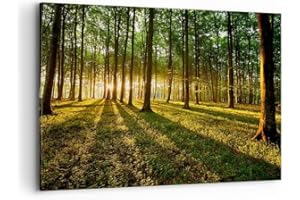 ARTTOR Cuadros Decoracion Salon Bosque verde sol rayos naturaleza Lienzos decorativos 120x80cm Cuadro Sobre Lienzo Moderno Dormitorio Cuadros Pared Imágenes Wall Art Prints Decor Grande XXL AA120x80-2510