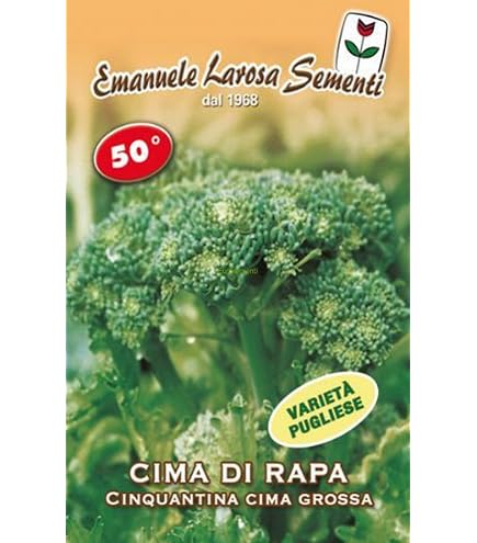 1000 Semi Di Cime Di Rapa/friarielli 40', Raccolto Rapido In 40 Giorni, Resistenti Al Freddo