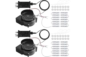 Kalolary 2.5A Replacement Air Blower for Inflatables Air Fan Blower with Adapter and LED Lights, Halloween Christmas Inflatable Outdoor Decorations (2P-2.5A/14 White 3 Leds)