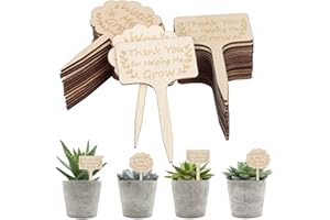 LAMEK 30 Pezzi Targhette per Piante in Legno Targhette per Piante di Bambù Targhette per Fiori e da Giardino a Forma Quadrata per Giardino Giardinaggio Fiore Semi Verdure Vivaio Piante Vaso