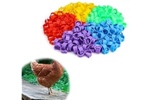 0XBIT Anelli per Galline, 250 Pezzi Anelli per Cosce di Pollame, 16 MM Anelli Colorati per le Gambe, Adatto per Pollame, Polli, Anatre, Piccioni, Anelli per Zampe di Uccelli