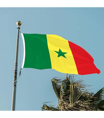 fanion mini drapeau pays voiture decoration franc macon
