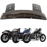 Fascia Parafango Posteriore Moto HDBUBALUS Con LED - Per Harley Touring