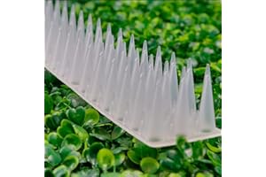 BSEICAL Pinchos Antipalomas,Pinchos Anti Gatos,Plástico Pinchos Para Pájaros,Anti Escalada Gato Pájaro,Disuasorio Antirrobo Clavos De Protección En Vallas,para Ahuyentar Palomas(50cm10pcs, Transparente)