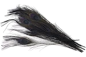 ‎CREATIVERY 10 echte Pfauenfedern ca. 25-30cm (schwarz 030) // Pfau Federn Natur Auge Deko Pfauenaugen Schmuck