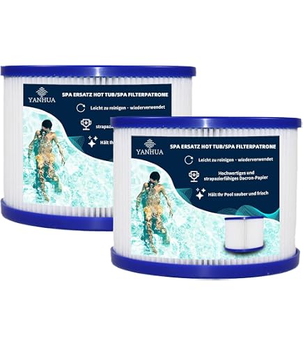 Lot de 2 cartouches de filtration INTEX S1 pour Pure spa