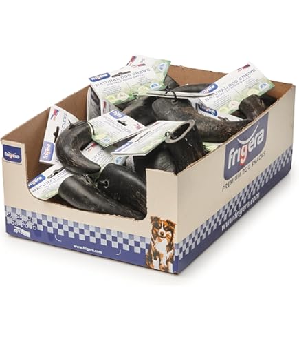 Corno Asiatico Enorme Del Bufalo Isolato Su Fondo Bianco Con Il Percorso Di Ritaglio 134977116 - Foto 4