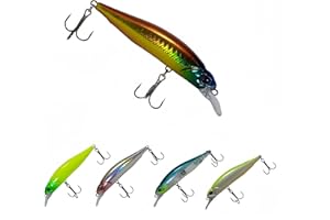 RUIJIAXIANG fishing lures hard bait Kit 10g 9cm 5pcs Minnow lures Treble Fishing Hooks for Freshwater/Saltwater