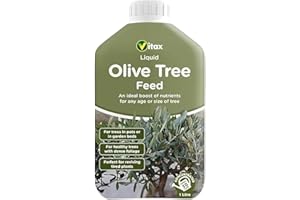 ZENON Vitax Olive Tree Liquid Feed 1L – Fast-Acting Plant Food with Extended Nitrogen Release – Promotes Healthy Growth, Lush Foliage & Better Fruiting – Ideal for Pots, Containers & Garden Borders