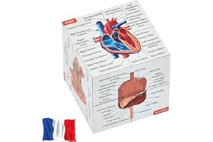 KITS OF MEDICINE Cubo di studio di anatomia umana in francese | Studia 9 parti del corpo umano | Cubo modello di anatomia | Regalo ideale per infermieri e studenti di medicina