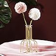 Next In Crafts 1 Pcs Propagation Station With Metal Frame, Test Tube Glass Items Vase For Flower Pot,Gift, Home Decor, Bedroom, Office Corner, Living Room, Decoration (Pack Of 1), Gold