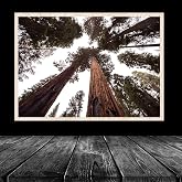 20lik Naturel Krem Poster Resim Puzzle 48x68 cm 1000 par&ccedil;a &Ccedil;er&ccedil;evesi PVCli Postersiz Resimsiz &Ccedil;er&ccedil;eve