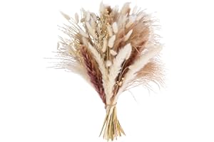 Pampasgras Deko Trocken 44cm hoch - schöner Pampasstrauß mit kleinem Pampas, Trockenblumen, Bunny Tails, Federgras - für Hochzeit oder Trocken Blumen Dekoration