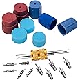 VOTNMIC Air Conditioning Valve Core Kit,Cap & Valve Air Conditioning System Seal Cap A/C R12 R134a Refrigeration A/C Valve Core Rmoval Tool HVAC AC Systems Charging Port Seal Caps Kit