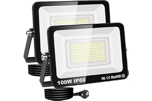 RIGIDON Led utomhusstrålkastare, 2x 100W 10000LM strålkastare med stickpropp, nätdriven säkerhetsbelysning, uteplats för gara