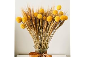 RYDDELIGHOME 100pcs Dried Wheat Bunch Stalks & 15pcs Dried Yellow Billy Buttons Craspedia Flower Balls Artificial Flowers Bouquet Grass Flora For Home Decor Autumn Decor Wreath Making Cake Decorations Flowers