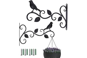 Kyrio - Soporte para cesta colgante, 12 pulgadas, gancho para colgar en la pared, para plantas, soportes de metal para plantas, para colgar plantas, linternas, comederos para pájaros, paquete de 2