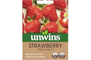 Unwins Strawberry Seeds - Delician