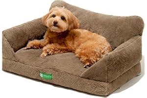 MEWOOFUN Canapé pour chat d'intérieur avec housse amovible lavable et fond antidérapant pour petits chiens (marron, 66 x 45 x 35 cm)