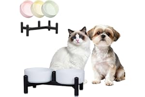 PTOBER Elevated Ceramic Dog Bowl Set - Cute Double Dishes with Stainless Steel Stand – Raised feeding Bowls For Cats and Small Dogs - Food & Water Set - 5" / 1.4 Cups (140 g / 260 ml) - Blue