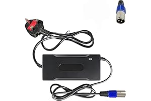 YZPOWER 29.4V 4A Mobility Scooter Charger, 24V 4A Lithium Battery Power Supply Charger For Electric Bike, Electric Scooter, Power Wheelchair, Electric Motorbike With 3 Pin XLR Connector