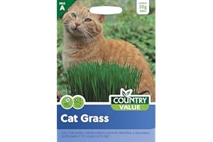 Country Value CAT GRASS Seeds