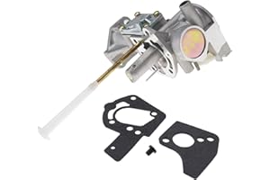 Vergaser und Dichtungen für Briggs Stratton Modell 135202, 135207, 135212