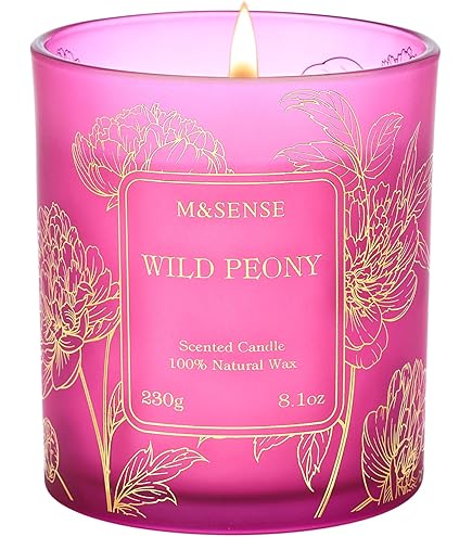 M&SENSE Geurkaarsen in glas, mango-muskus, 290 g, natuurlijke soja