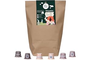 ‎CUP VERDE CUP VERDE Mixpaket 80 Kaffeekapseln kompatibel mit Nespresso*. 3 Sorten: Crema Grande, Lungo & Espresso Forte – Heimkompostierbar – Premium Arabica – Schonend Trommelgeröstet