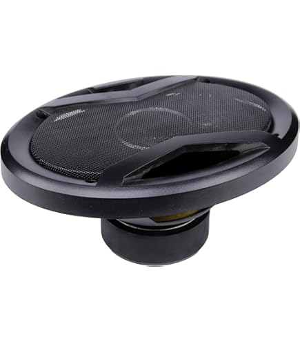 Pioneer carrozzeria Powered Subwoofer TS-WX110A TS-WX110A: Buy