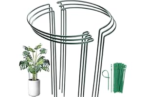 MUAEEOK 6 Pack Metal Garden Stakes, Tall Plant Support Ring Cage, Large Supports for Tomato, Vegetable, Rose, Flowers, Vine (30x60cm)