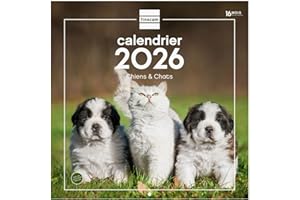 Finocam - Calendario de pared 2026 30 x 30 cm 1 mes por página enero - diciembre 2026 + septiembre - diciembre 2025 (4 meses) descuento | Calendario2026 | Imágenes de Perros y gatos francés