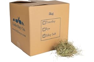 THE LITTLE HAY CO. Little Hay Co Classic Silky Soft Meadow Hay | Eco Box | Clean, Green, Fresh & Fragrant! | Rabbits, Guinea Pigs, Hamsters, Degus | (5kg)