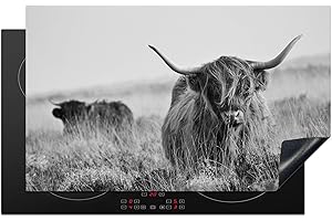 KitchenYeah© Protection Plaque Cuisson Deco Cuisine Cache Induction 83x51 cm Protège Pour Cuisiniere Protection Bœuf des Highlands écossais - vache - gris - cornes - fourrure - nature - 83x51 cm